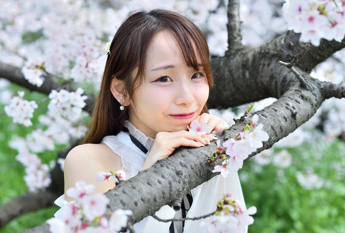 Ryo_ichi tweet media