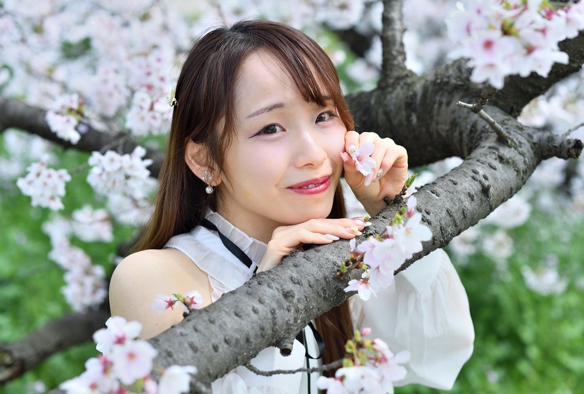 Ryo_ichi tweet media