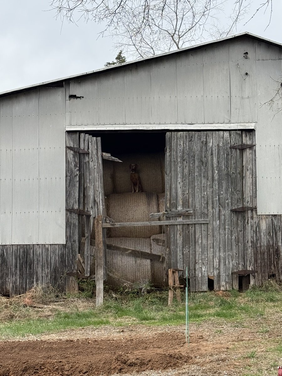 Reasonable Man 🇺🇸 tweet media