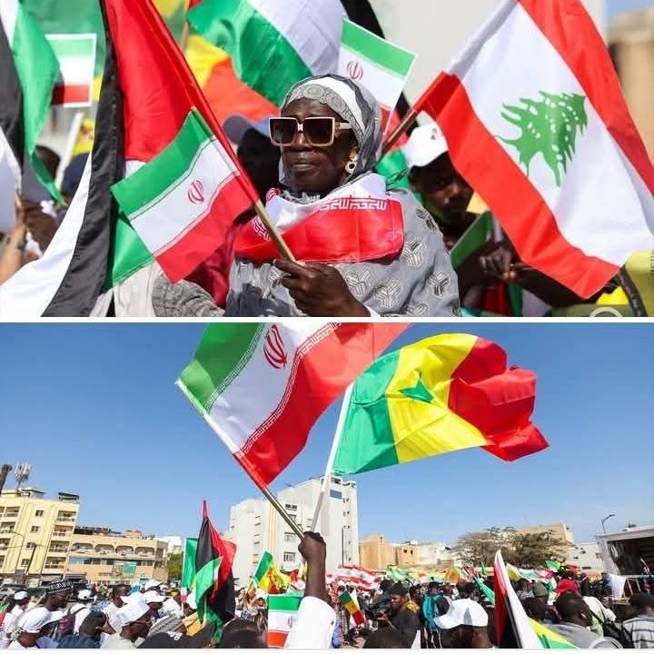 Coline ☫ Fay tweet media