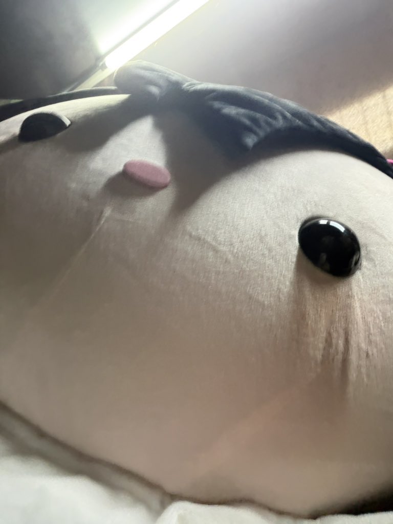 bing b nya bonnie tweet media