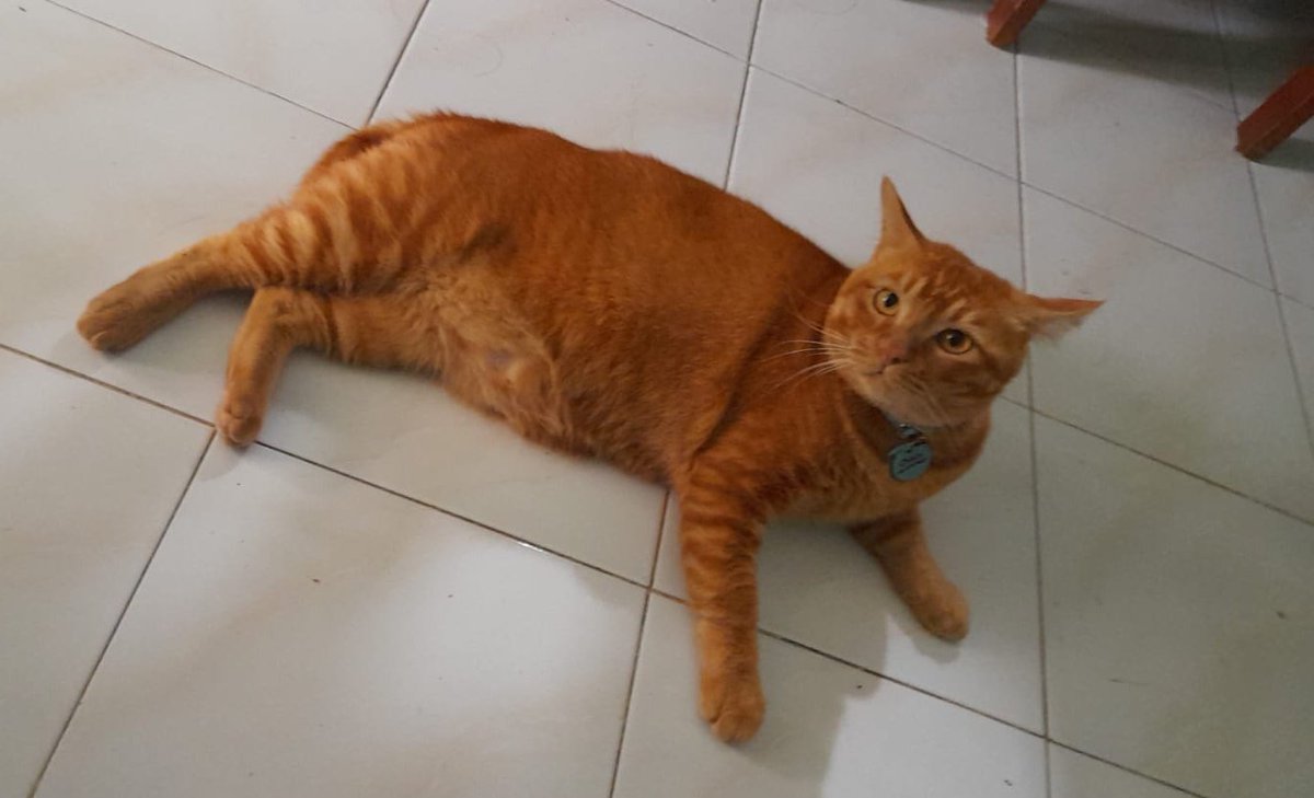 Mocca choco latte ☕ tweet media