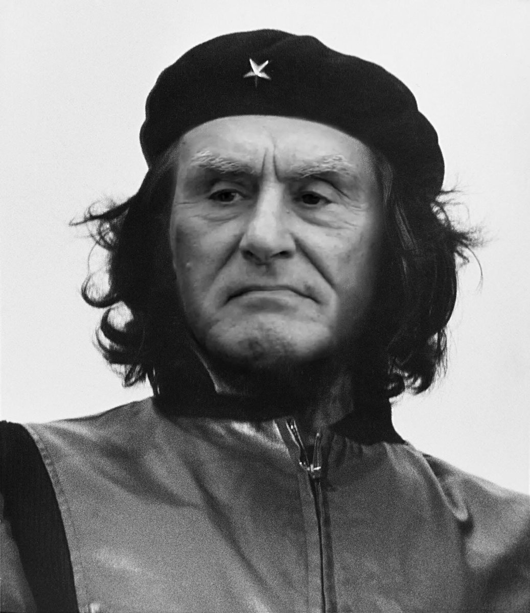 Isabel Arriaga Cunha tweet media