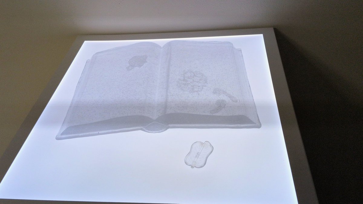 ちくわ Chikuwa tweet media