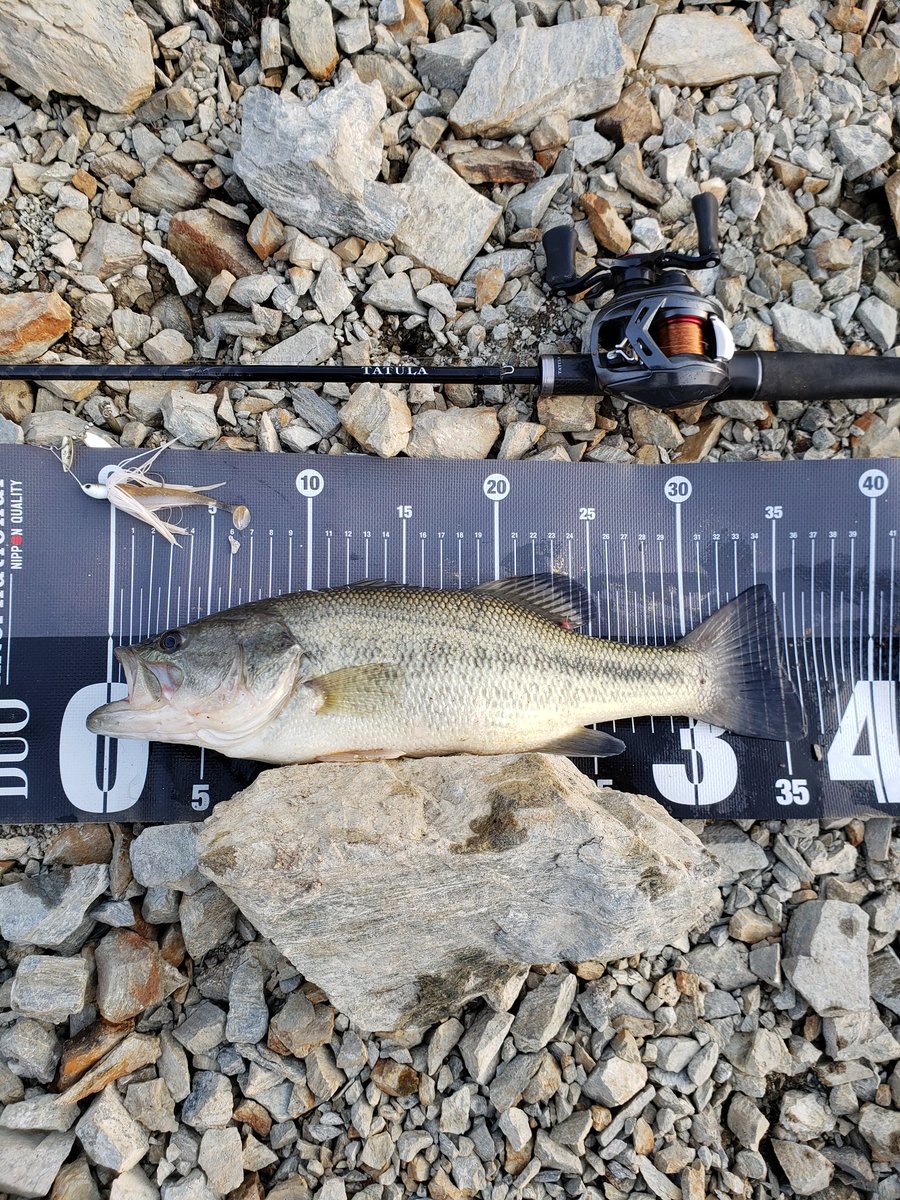 masa13873159's tweet image. 久しぶりに釣れた⤴️

サイズはともかく嬉しい😆

和さんのキャップもやっと入魂(笑)

ビーブル×イージーシャイナー
#ボトムアップ
#KEITECH
#バス釣り