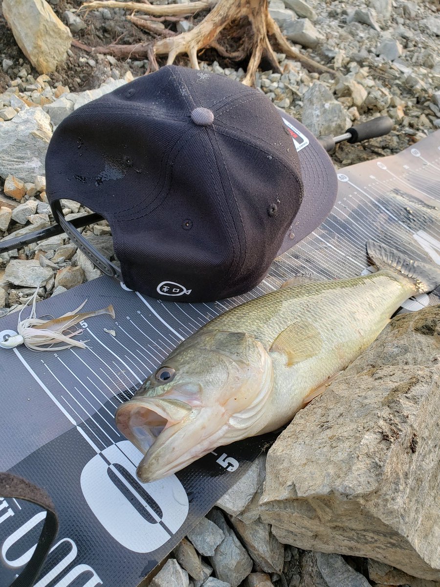 masa13873159's tweet image. 久しぶりに釣れた⤴️

サイズはともかく嬉しい😆

和さんのキャップもやっと入魂(笑)

ビーブル×イージーシャイナー
#ボトムアップ
#KEITECH
#バス釣り