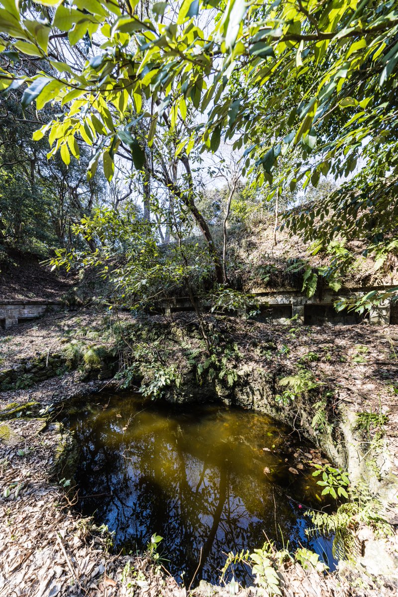 前畑温子 tweet media