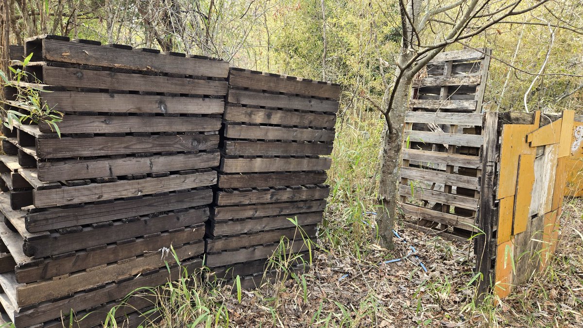 天　サバゲーフィールド　TEN　アウトドアフィールド tweet media