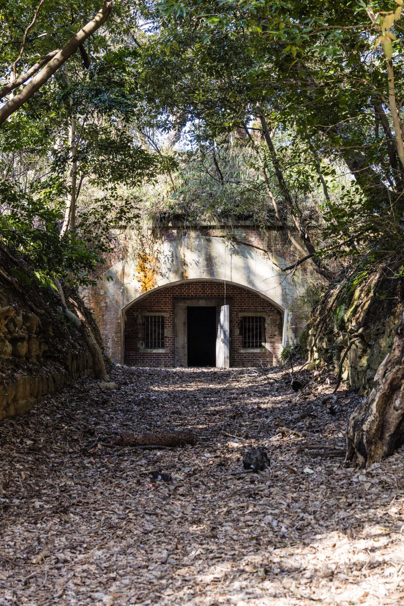 前畑温子 tweet media