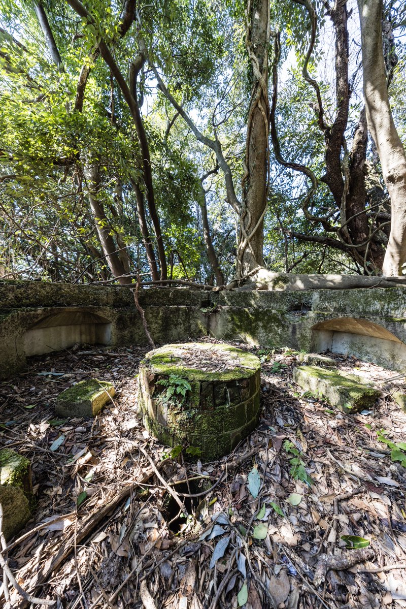 前畑温子 tweet media