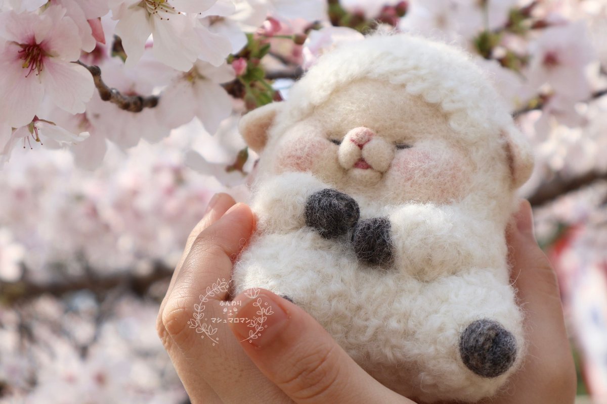 ふんわりマシュマロマン　クリマ5日のみＤ-238 tweet media