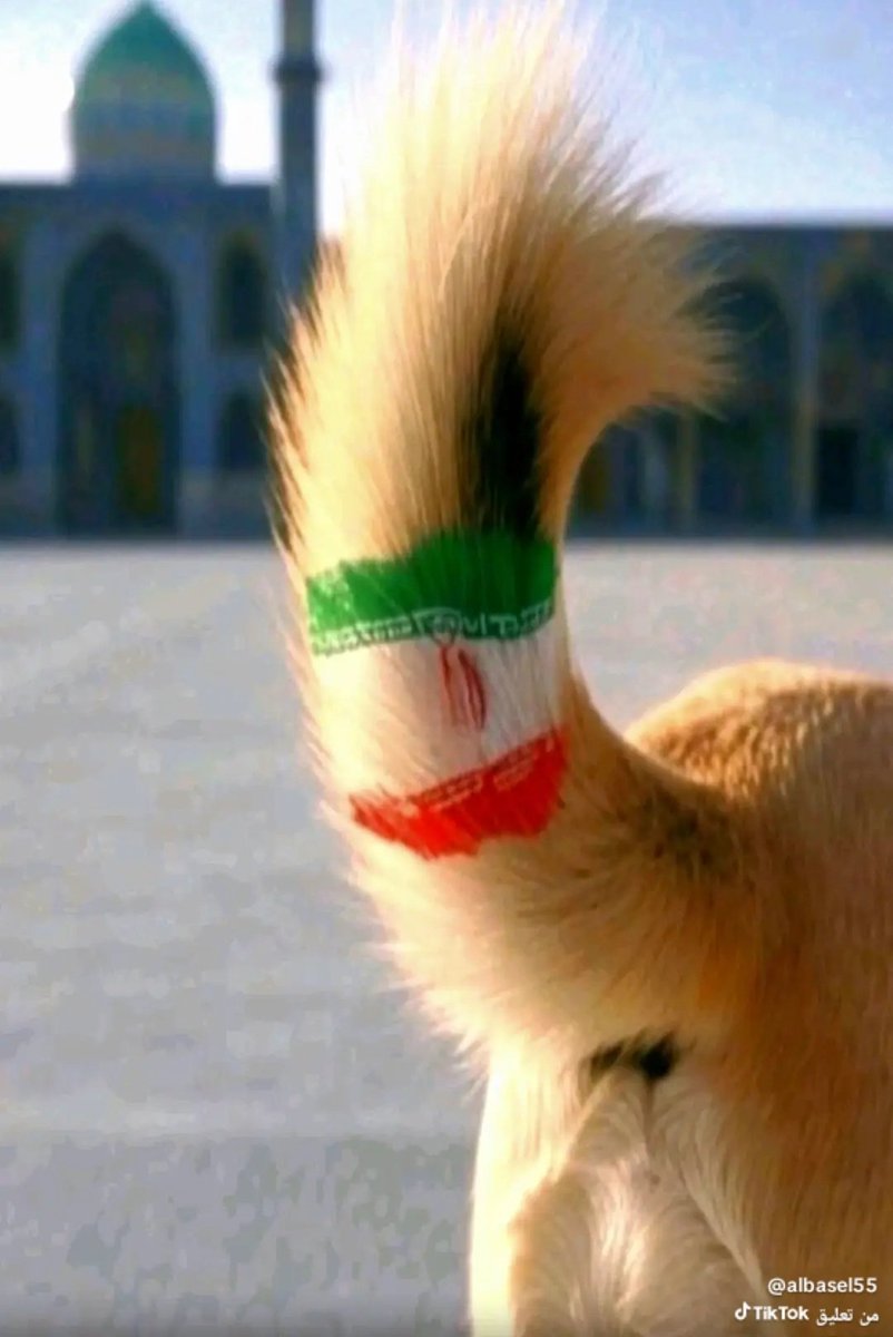 SAM 🇸🇦 #Expo2030 tweet media