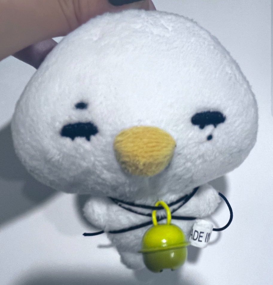 청계산오리백숙사우르스 tweet media