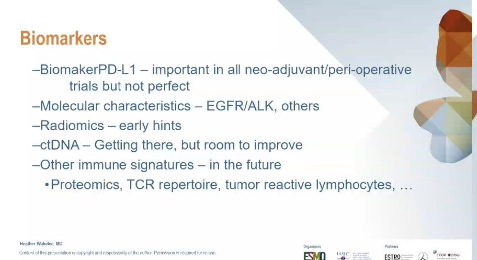Bartomeu Massuti tweet media