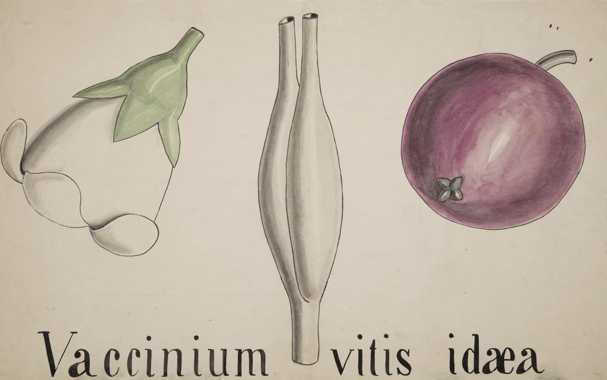 Mick Crawley tweet media