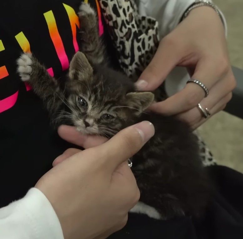 𝒴una! ★ ENHYPEN IS 7 tweet media