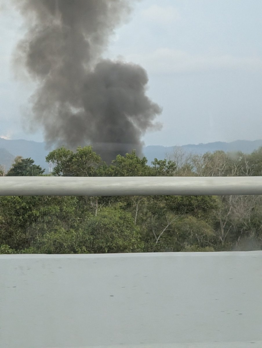 BKI 🍉 tweet media