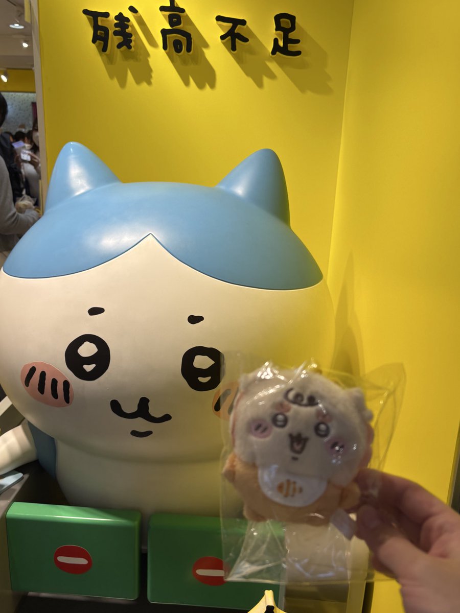 らんちゃんん tweet media