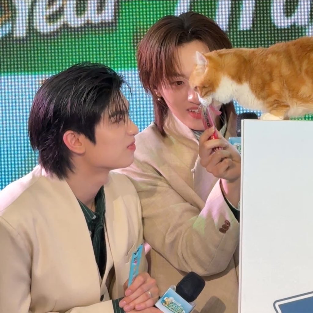 bbymuuu 𐙚⋆˚ tweet media