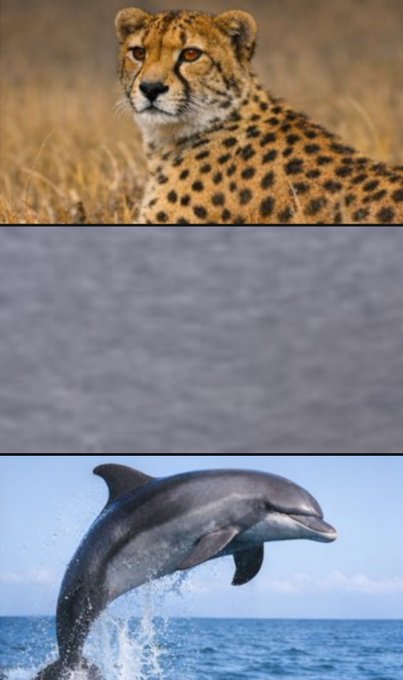 るかち tweet media