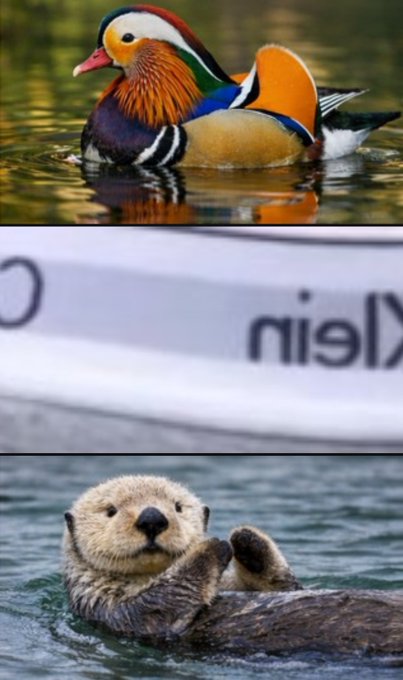 るかち tweet media