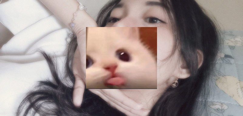 doyan memek hijab tweet media
