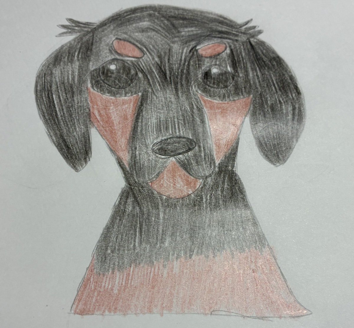 🐈🐾エルサ🐕🐾 tweet media