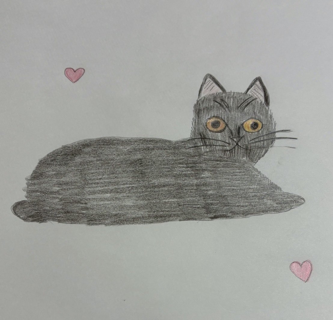 🐈🐾エルサ🐕🐾 tweet media