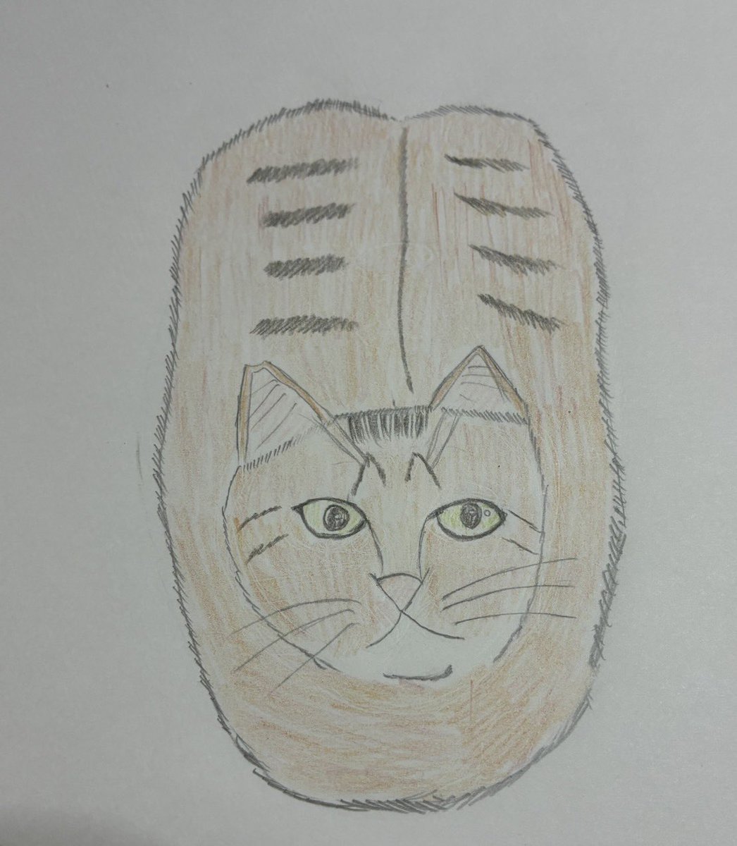 🐈🐾エルサ🐕🐾 tweet media