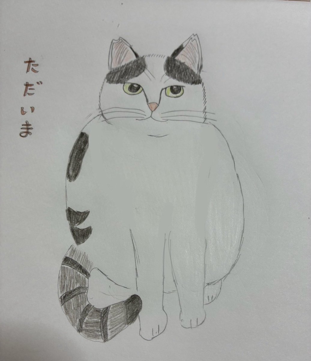 🐈🐾エルサ🐕🐾 tweet media