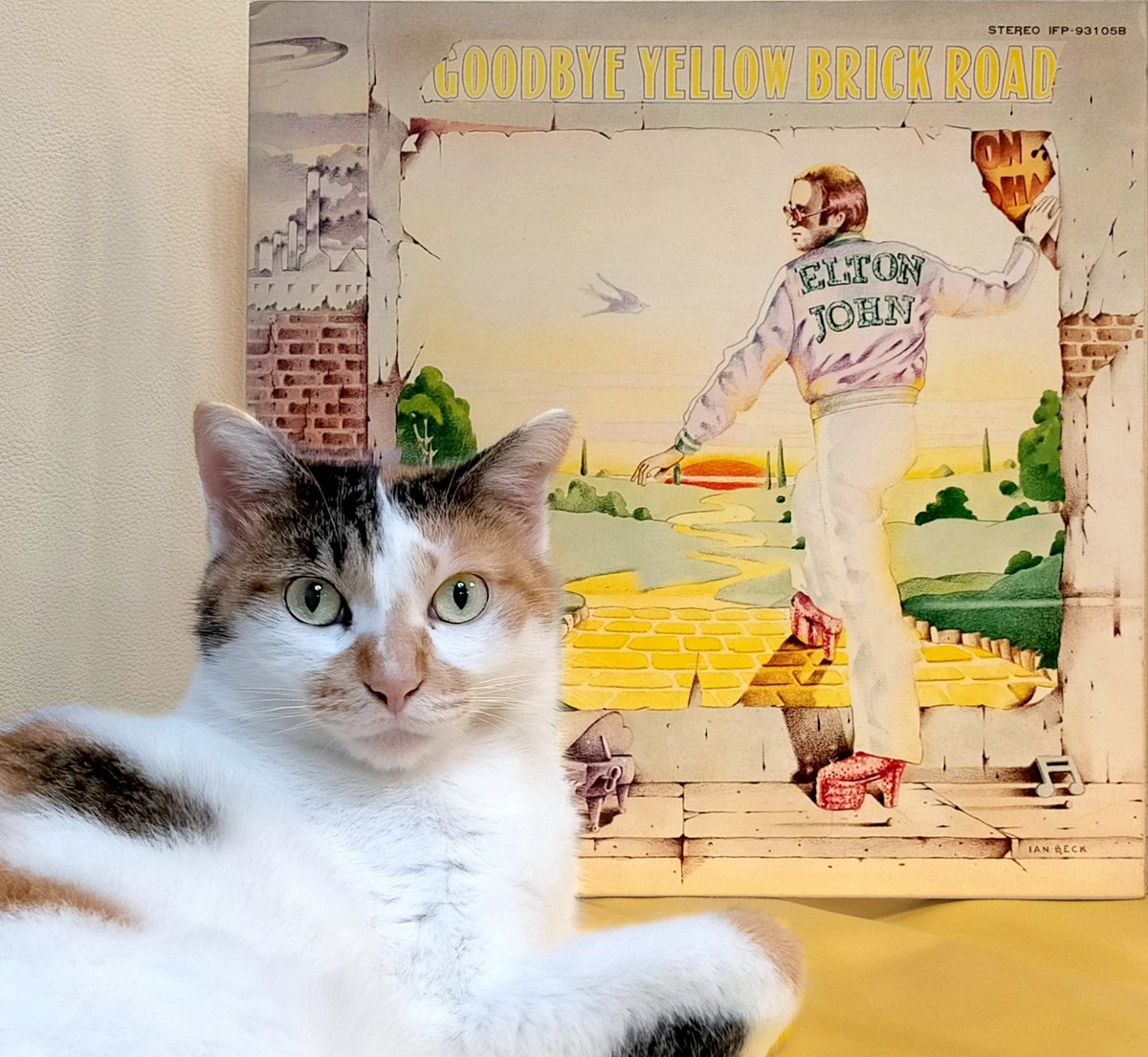 タウンゼント tweet media