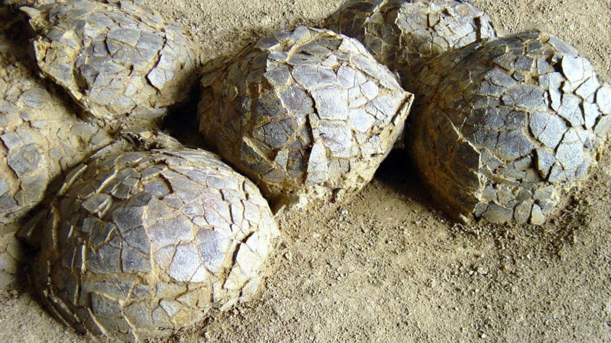 75 Secondes 🗞️ tweet media