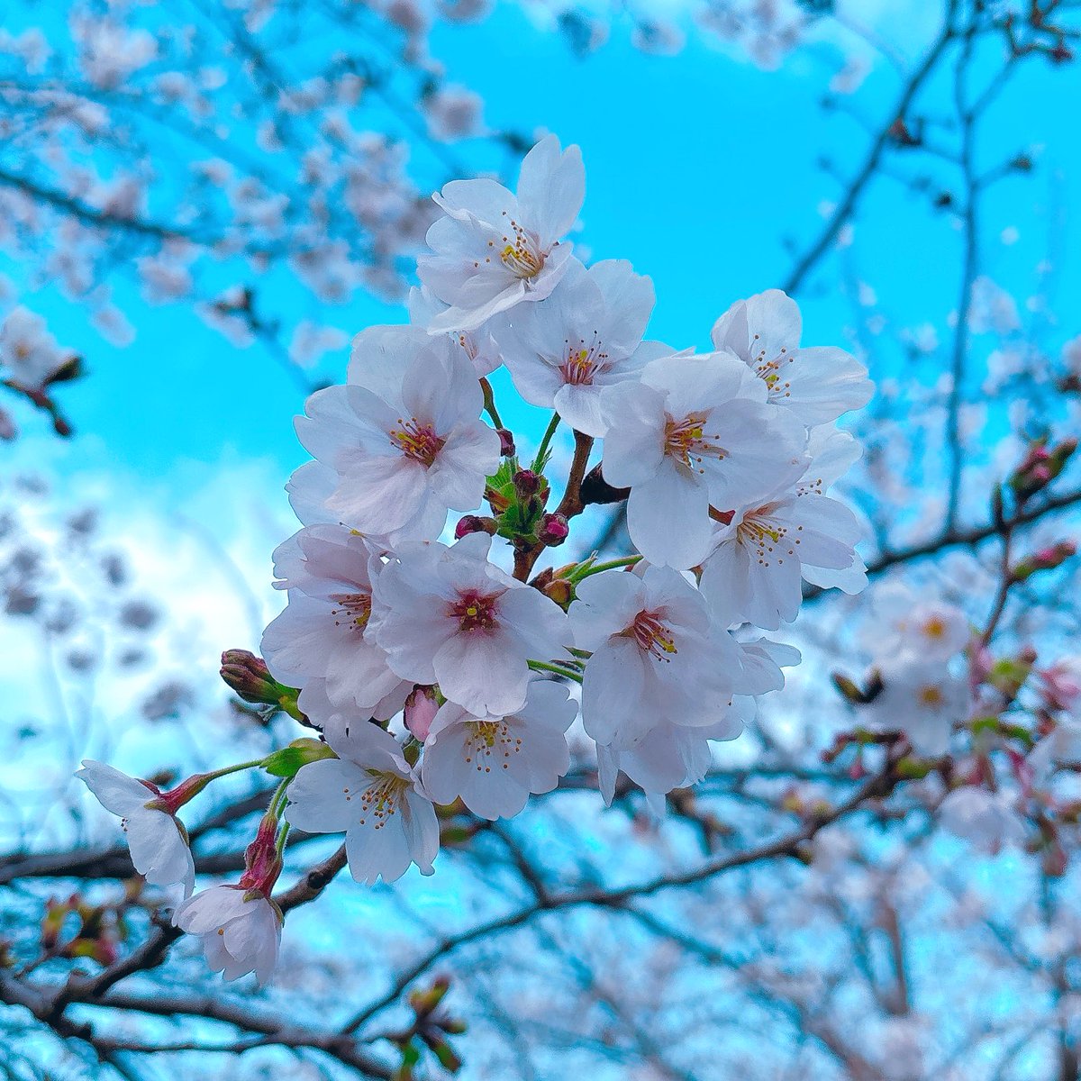 久永実木彦 tweet media