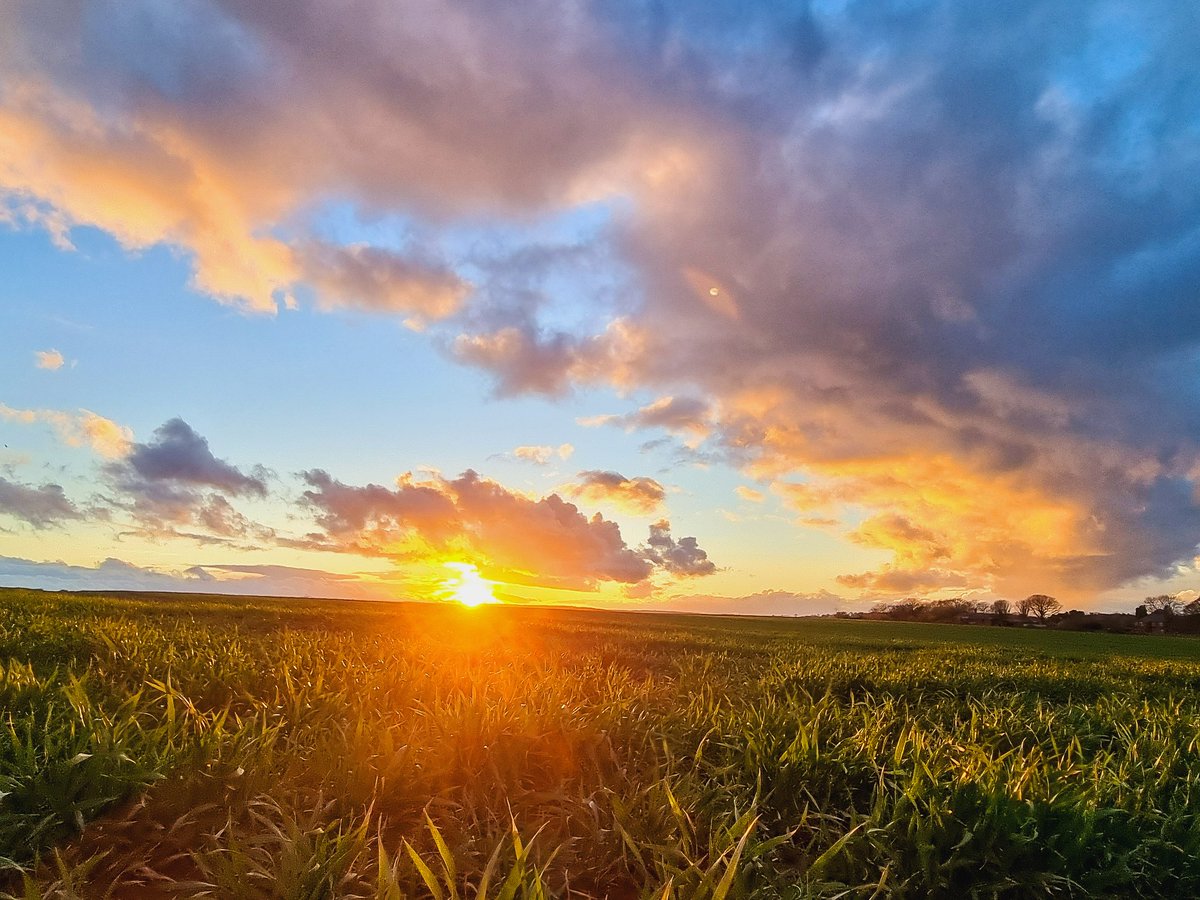 Steve Jackson tweet media