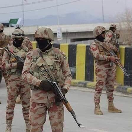 THE GLOBAL DECIPHER tweet media