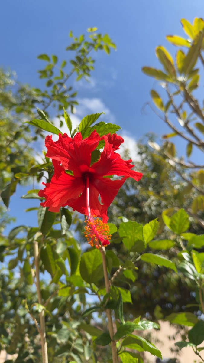 حسن ظبيك 📸 🎥 tweet media