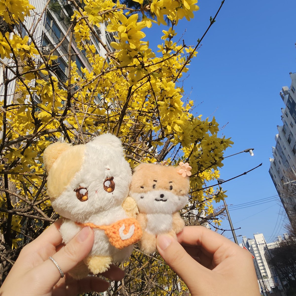 나들이 넘 좋댜 🫶
생태체험도 하구 😘