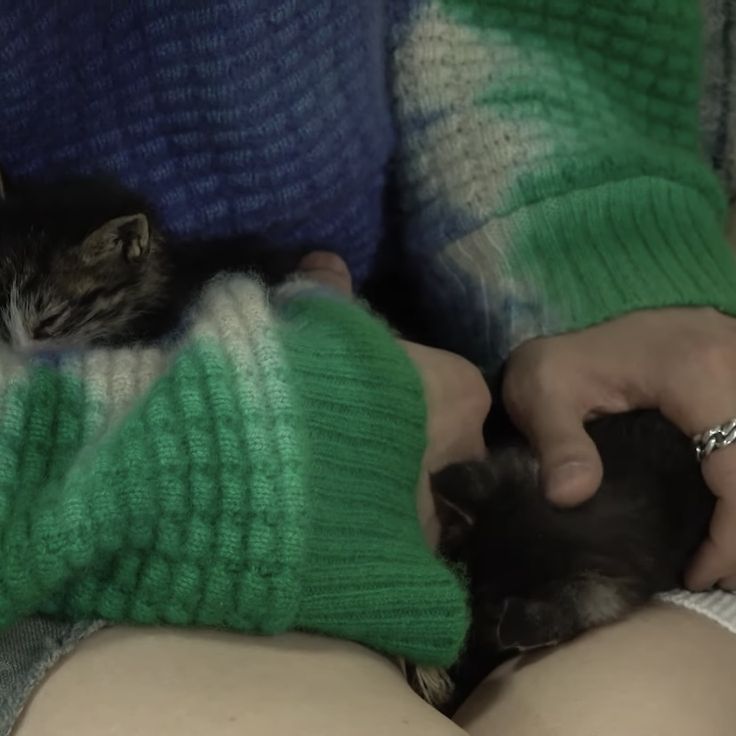 𝒴una! ★ ENHYPEN IS 7 tweet media