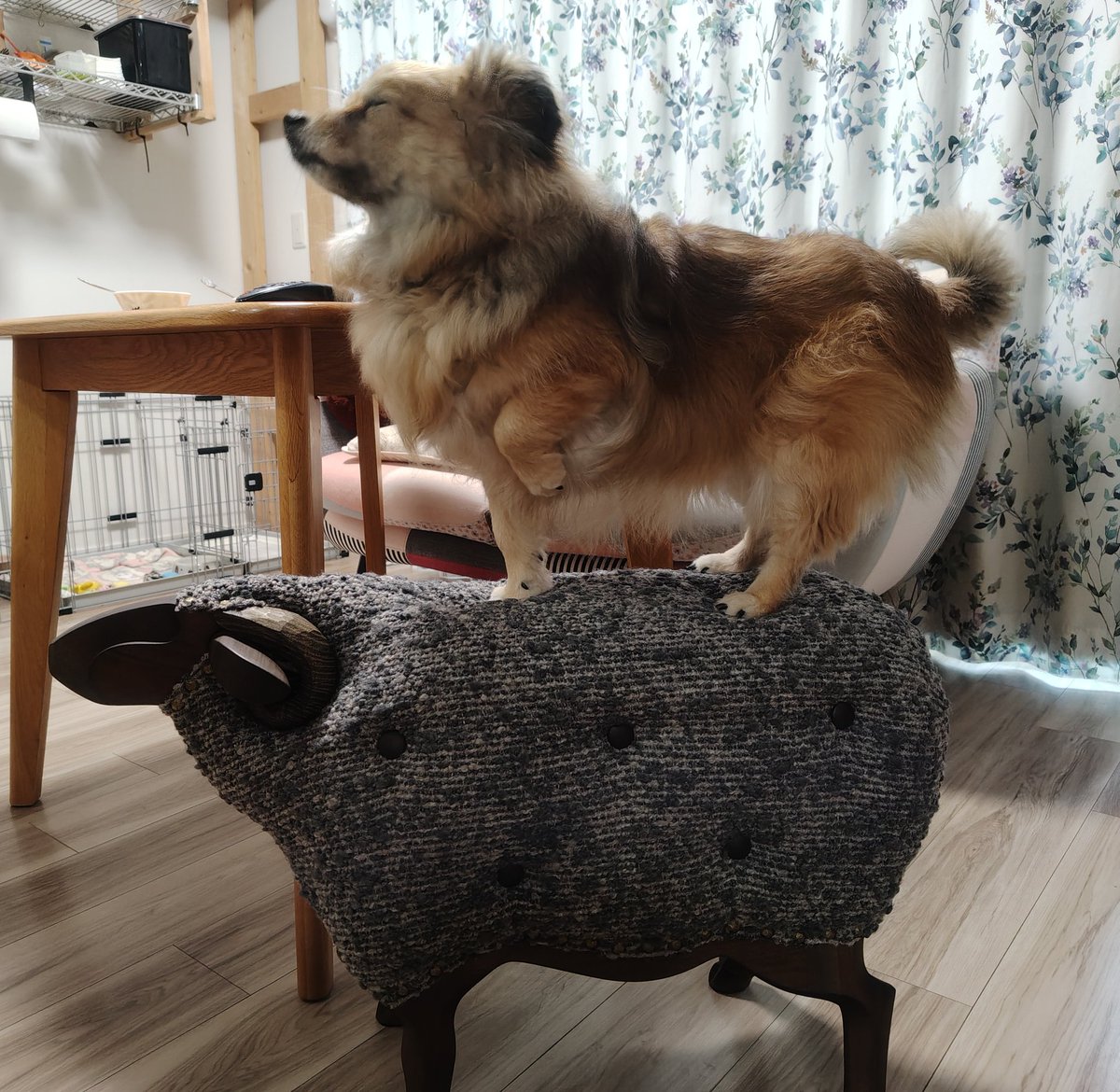 Loake Weald tweet media