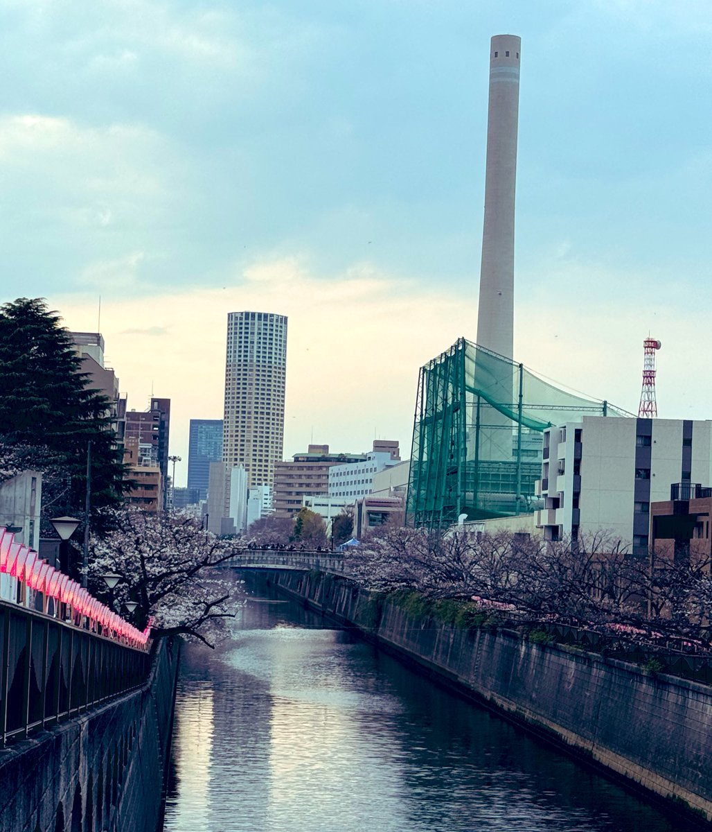 板倉 梓 tweet media