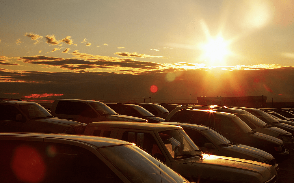 sierra luttrell tweet media