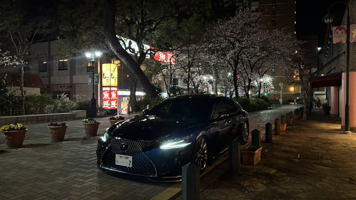 RKE_15's tweet photo. 満開じゃなかったけど綺麗やった。
ついでに車も洗車したから綺麗。 https://t.co/skcFv73M3r
