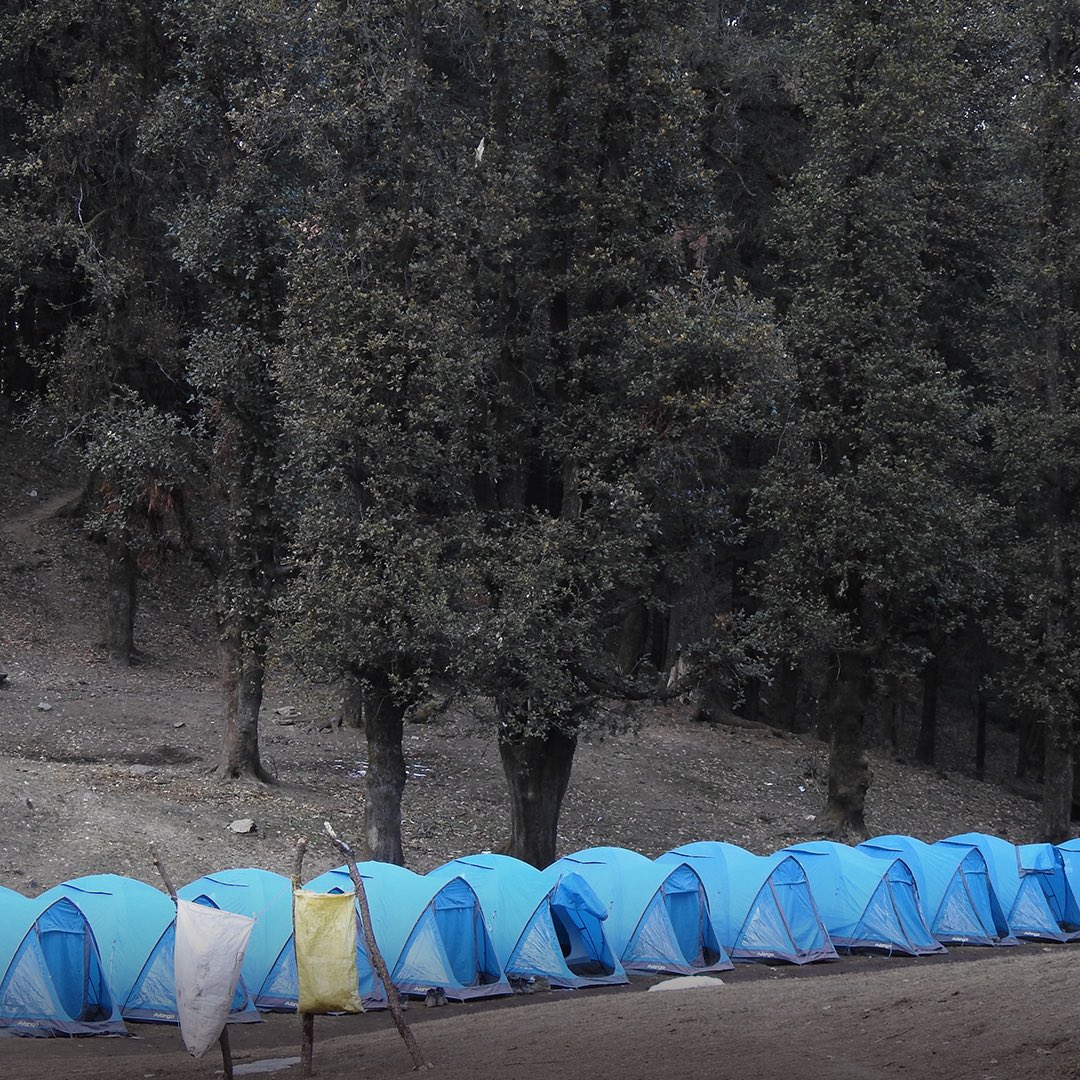 Prana Sadhna tweet media