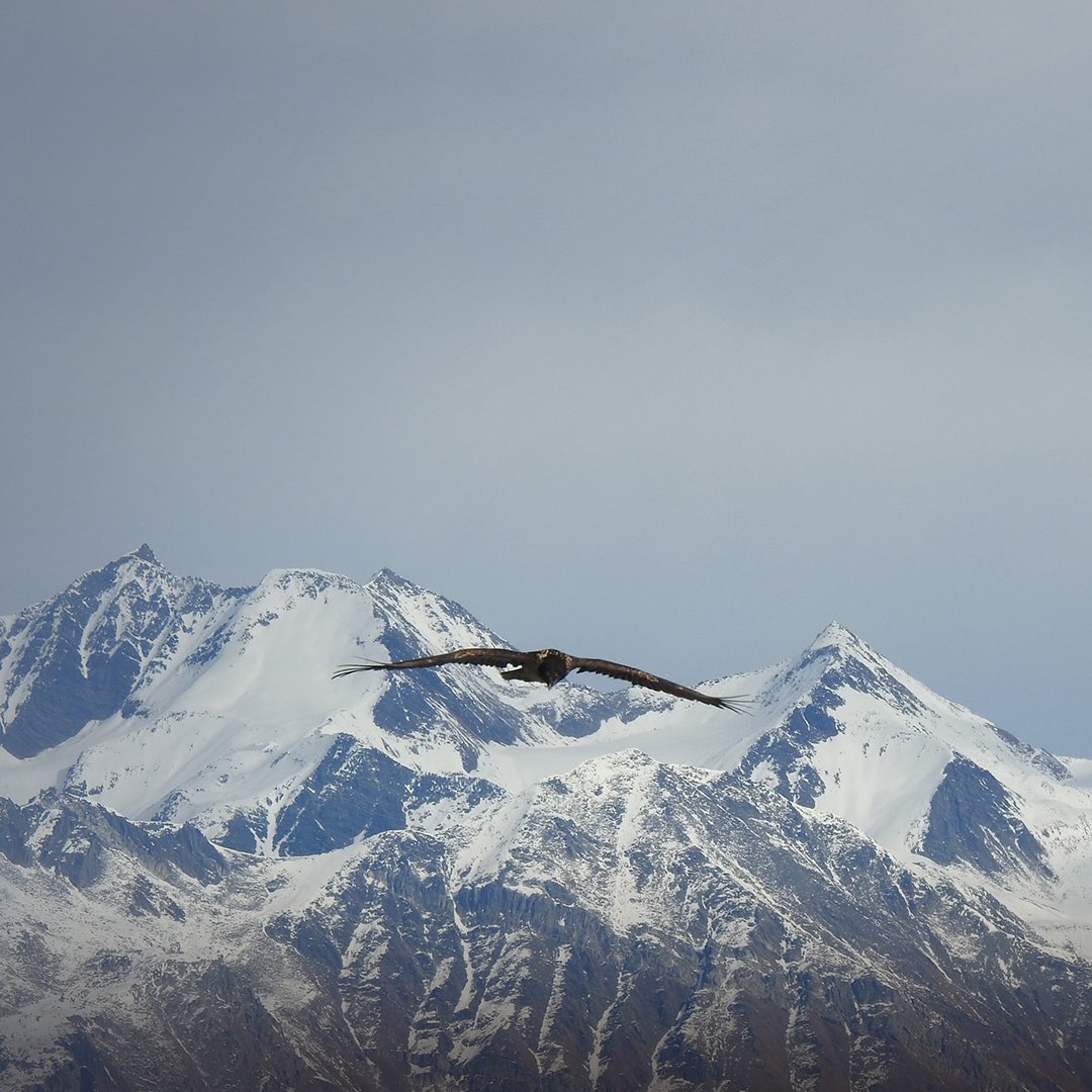 Prana Sadhna tweet media