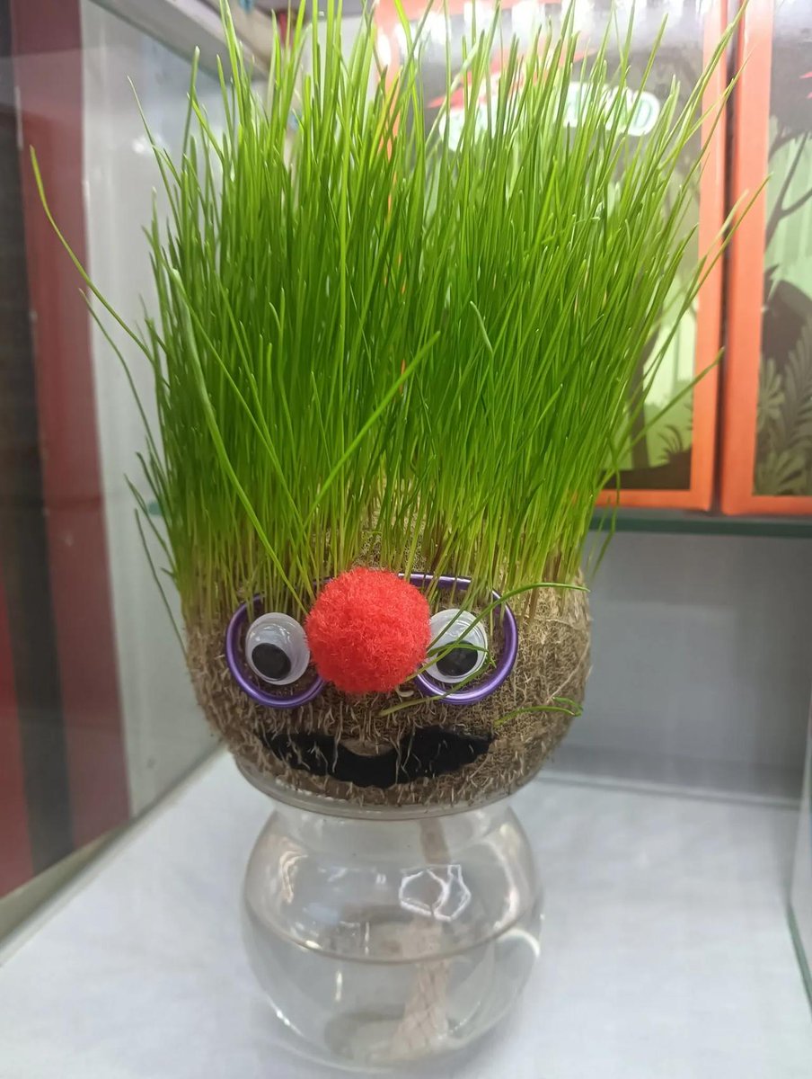 Nikitina Mariya tweet media