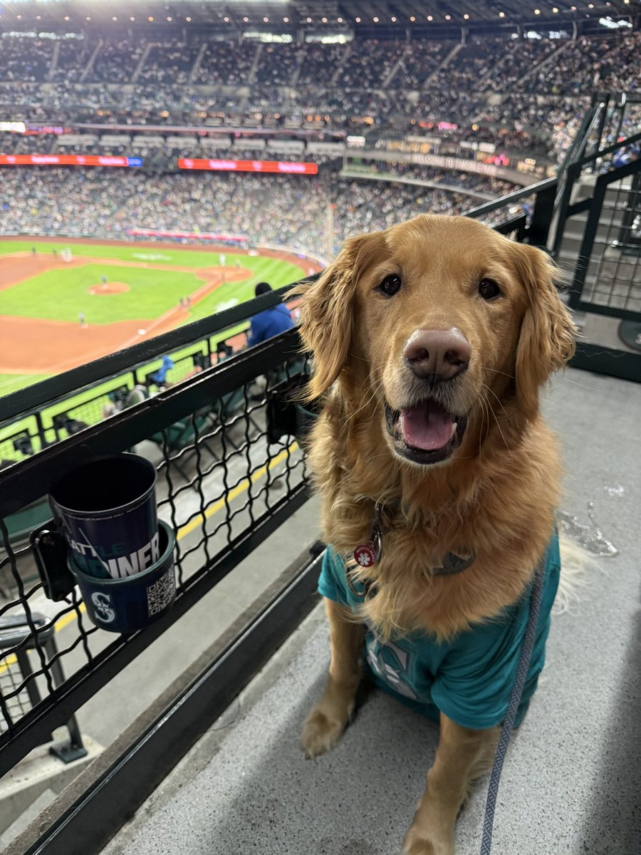 Holly Riley tweet media