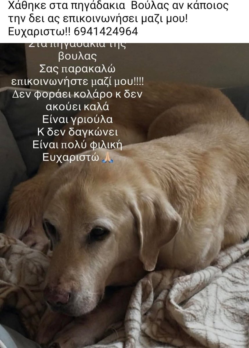 Χλε_Μπονα Σαμερ tweet media