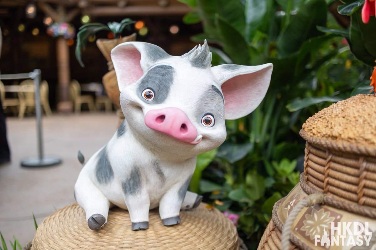 HKDL Fantasy tweet media