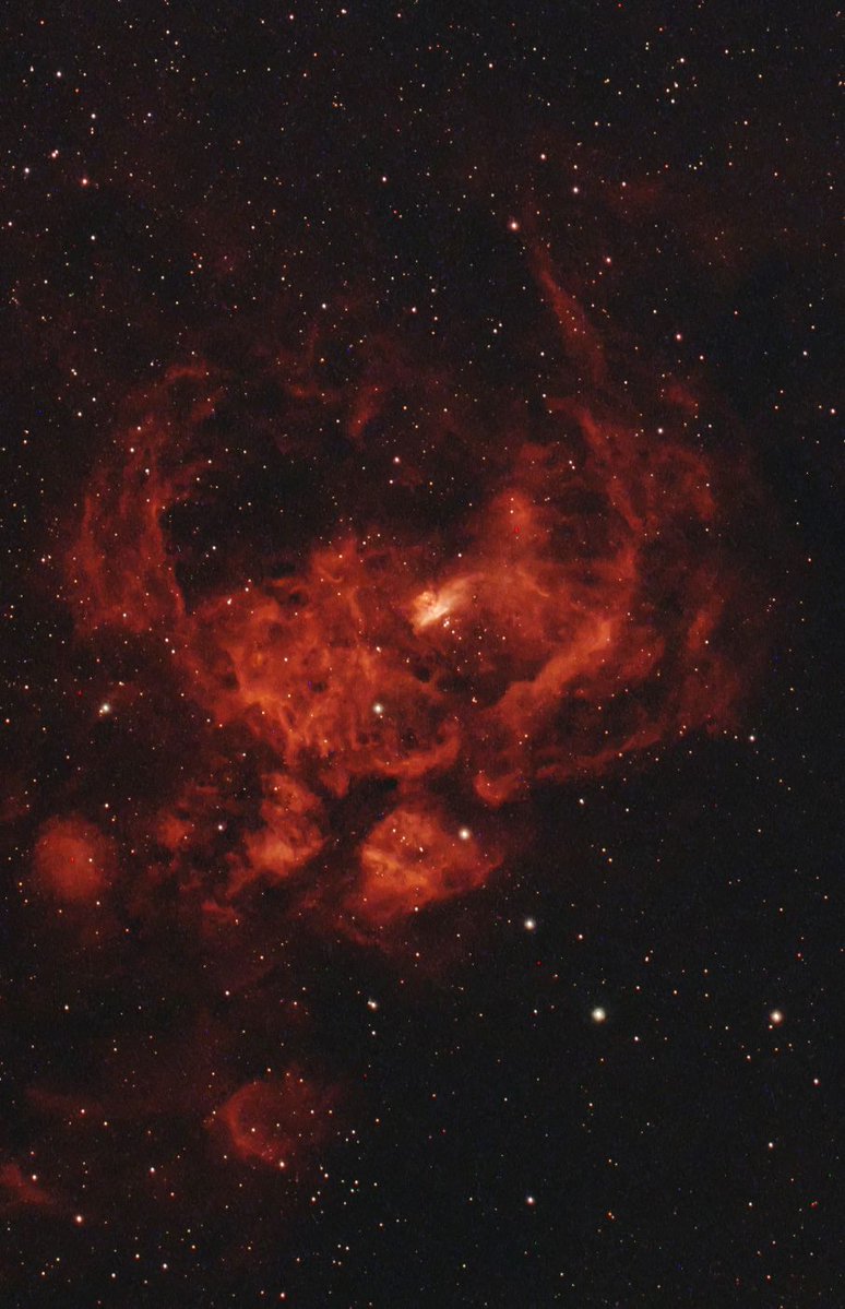 sタモさん tweet media