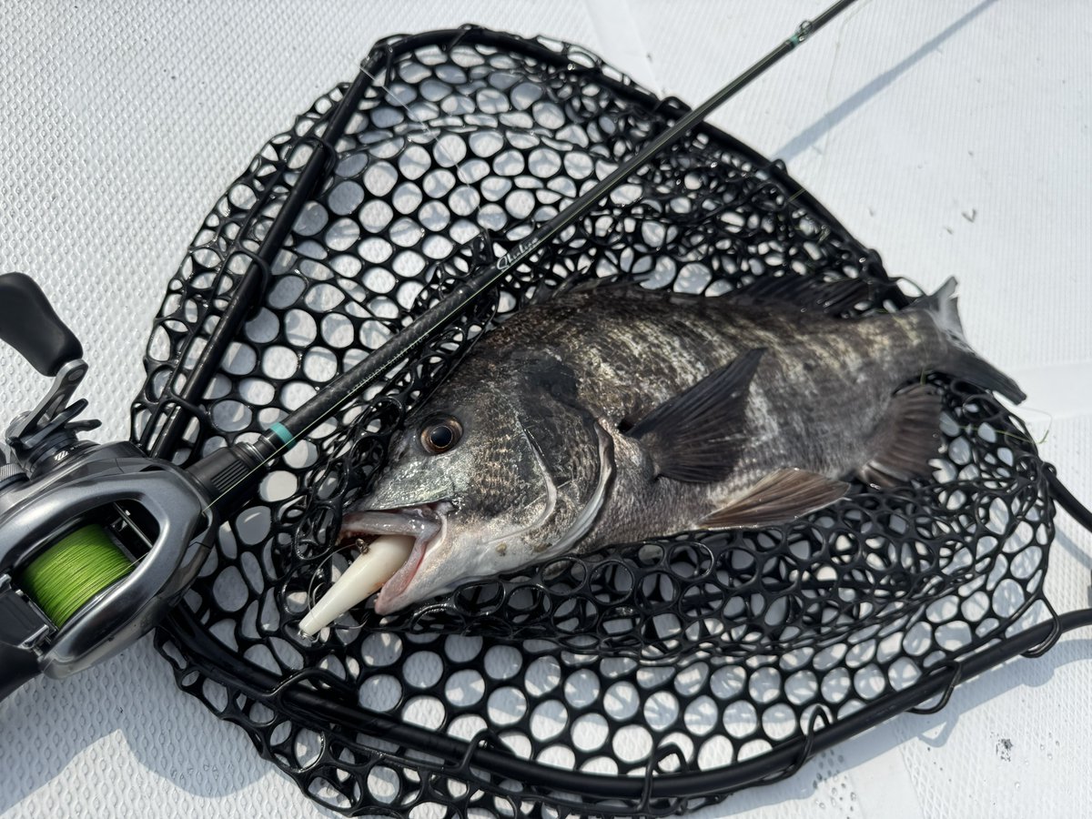 尾後隼人 tweet media